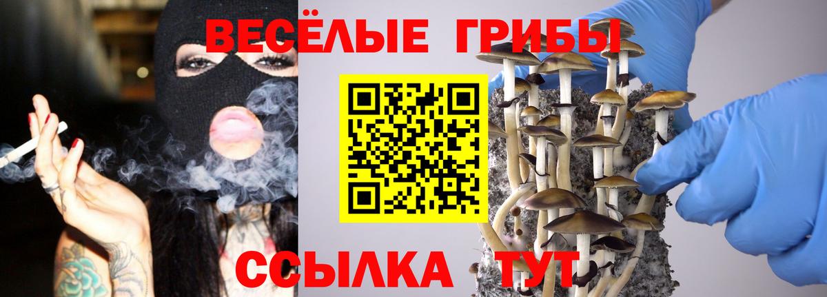 Псилоцибиновые грибы MAGIC MUSHROOMS Тайшет